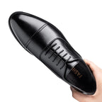 Lion | Gagnez en taille (+2,4")