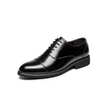 Lion | Gagnez en taille (+2,4")